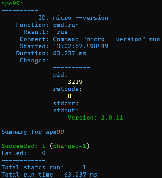 Cmd-tilafunktiolla micron versionumero