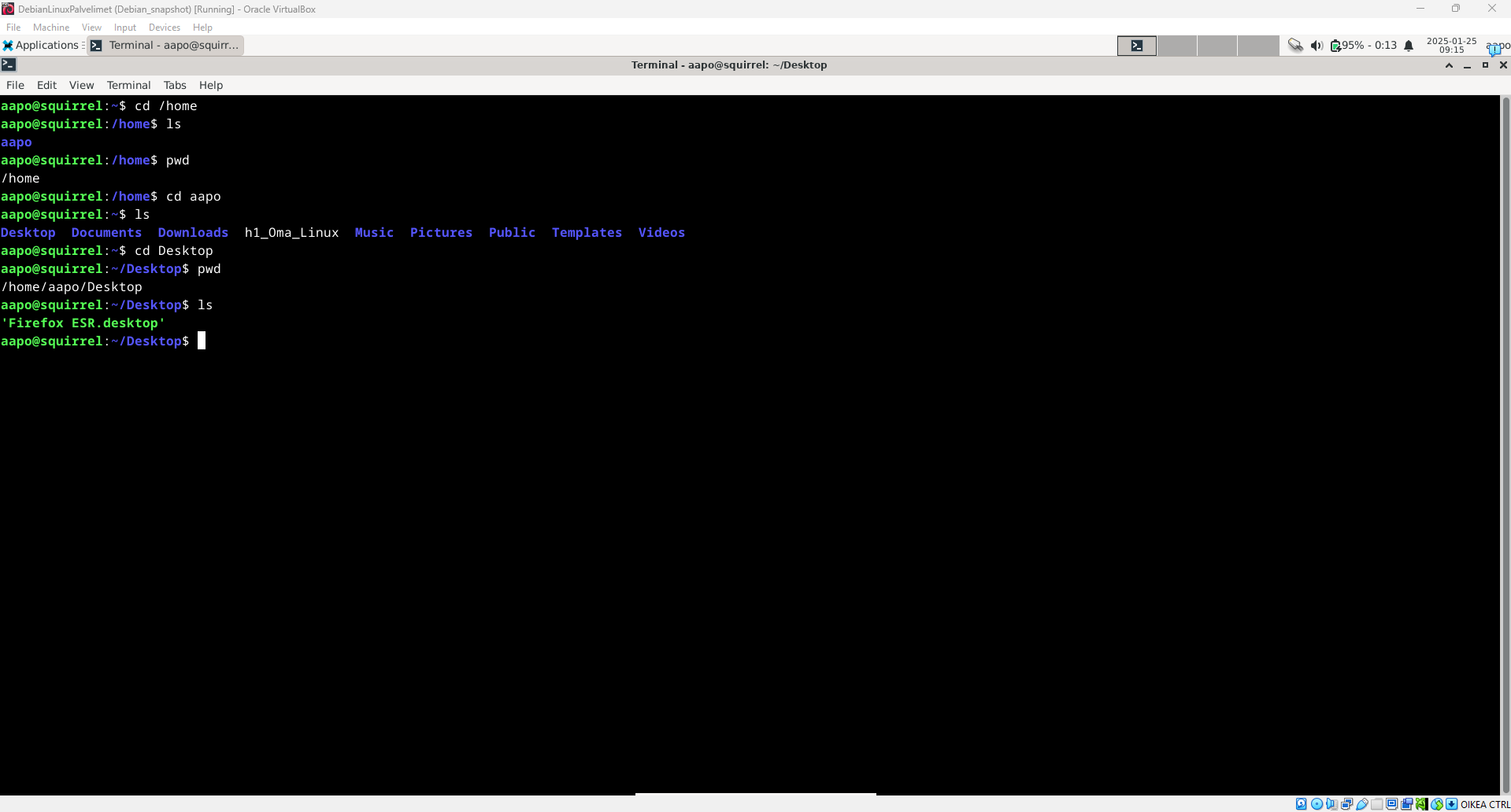 Kuva /home/aapo hakemistosta