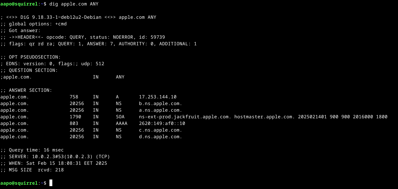 dig-komento osoitteeseen apple.com